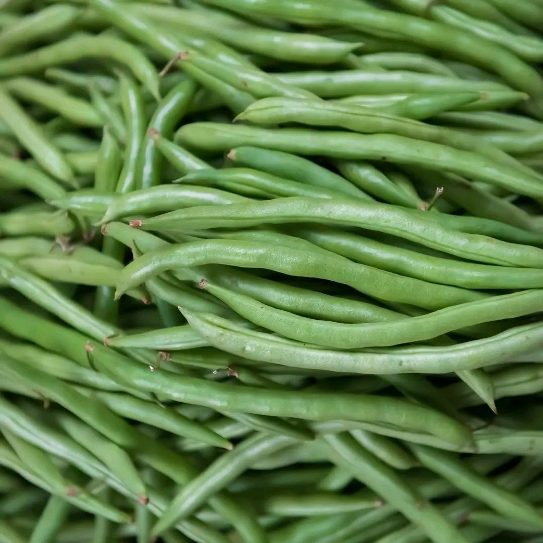 Haricot vert  – Sava