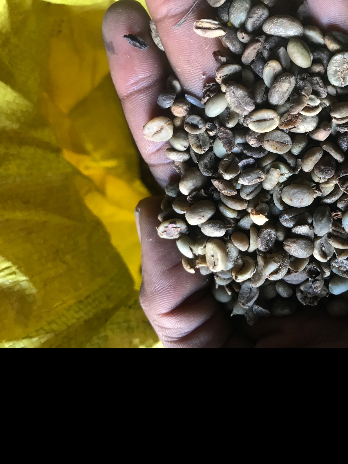 Café – Menabe
