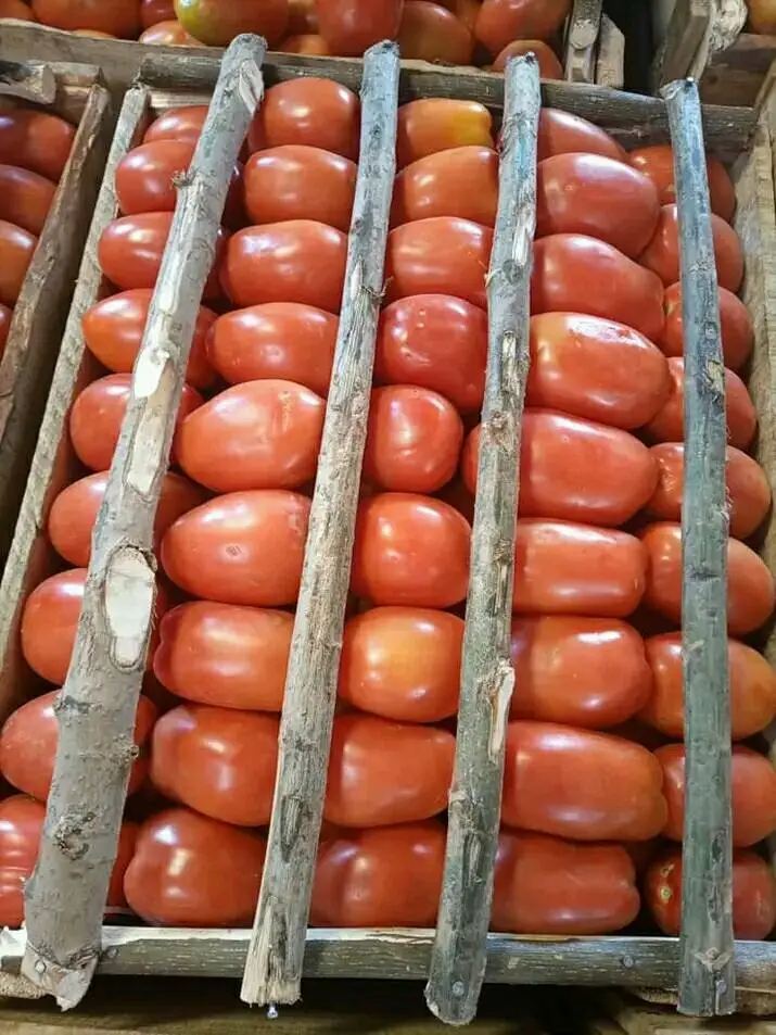 Tomate – Analamanga