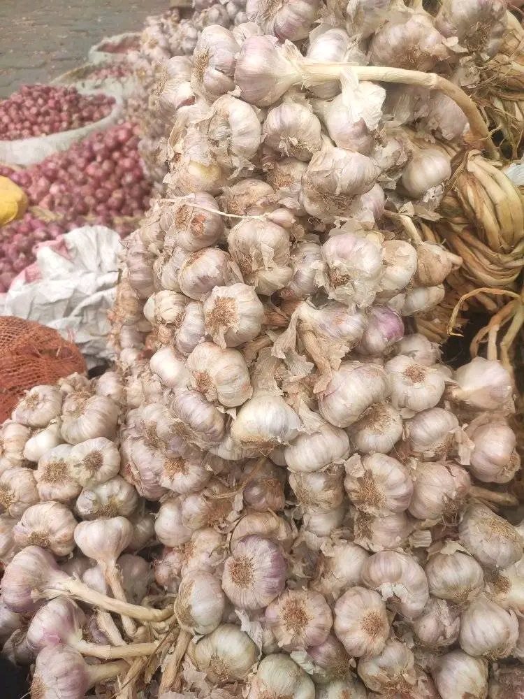 Tongolo gasy – Atsinanana