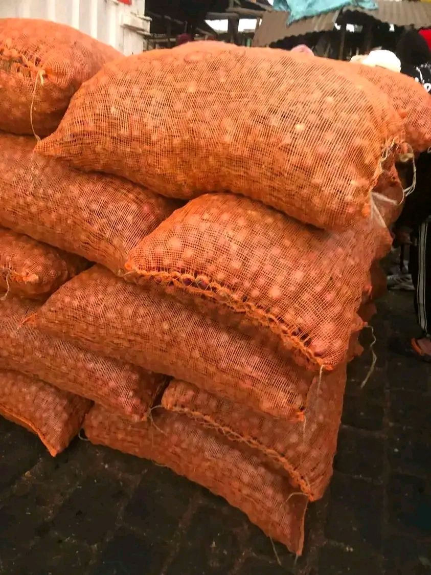 Tongolo oignon – Analamanga